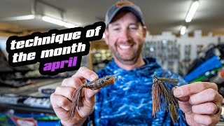 Technique Of The Month | April | Shallow Spawners