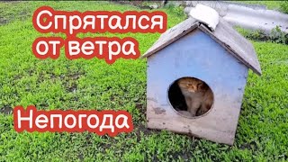 VLOG Погода меняется