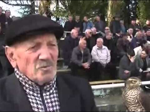 გურული ბაზიერი. კურიოზი