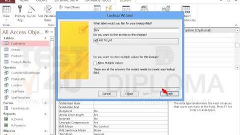 Insert one more field named Sex at the end of the Customers table that will allow only one of...