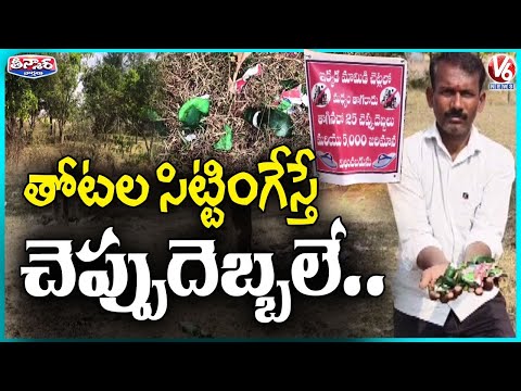 Anyone Hosting Drinking Party in Mango Orchard to Face 25 Shoe Slaps, ₹5,000 Fine | V6 Teenmaar - V6NEWSTELUGU