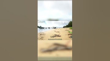 When You Spawn In Ark and Die Immediately #shorts #ark #arksurvivalevolved