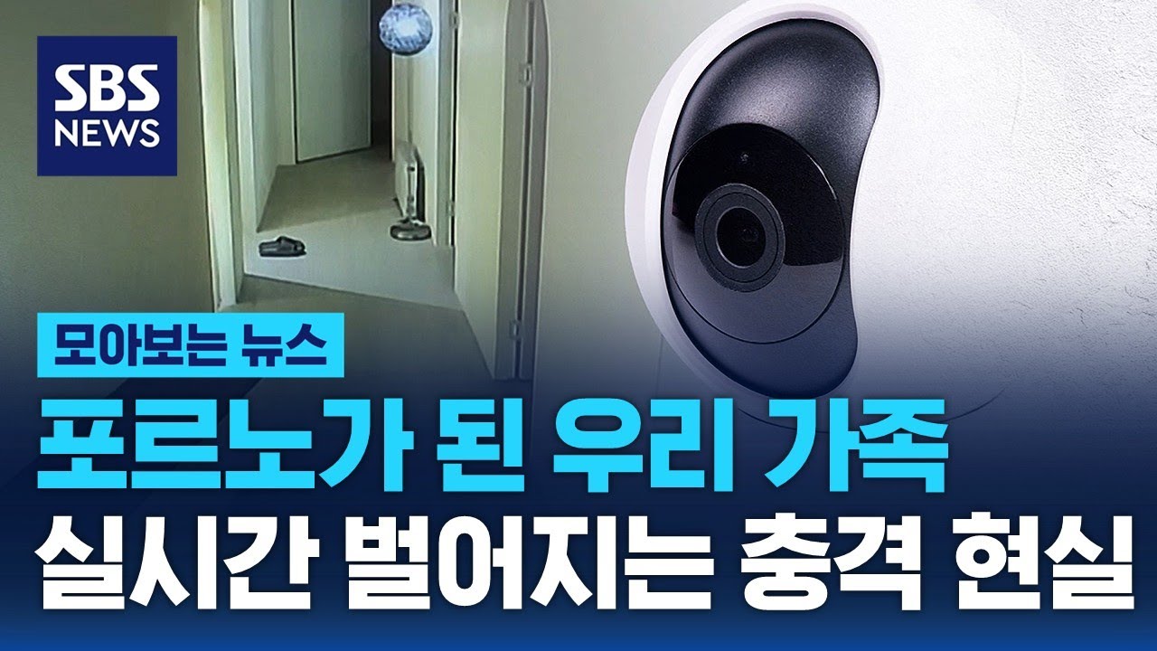 포르노가 된 우리 가족…실시간 벌어지는 충격 현실 / SBS / 모아보는 뉴스