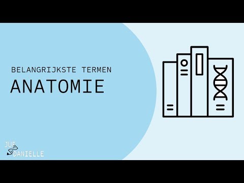 Video: Wat beteken anterior in mediese terme?