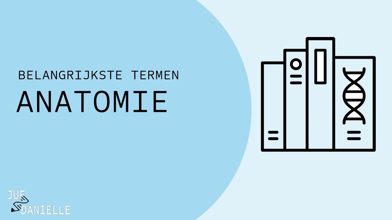 Belangrijkste termen in de anatomie