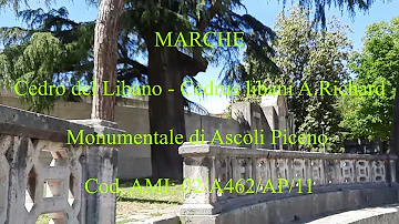 Quanto tempo per visitare Ascoli Piceno?