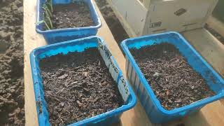 visite du jardin mars, la terre est encore humide