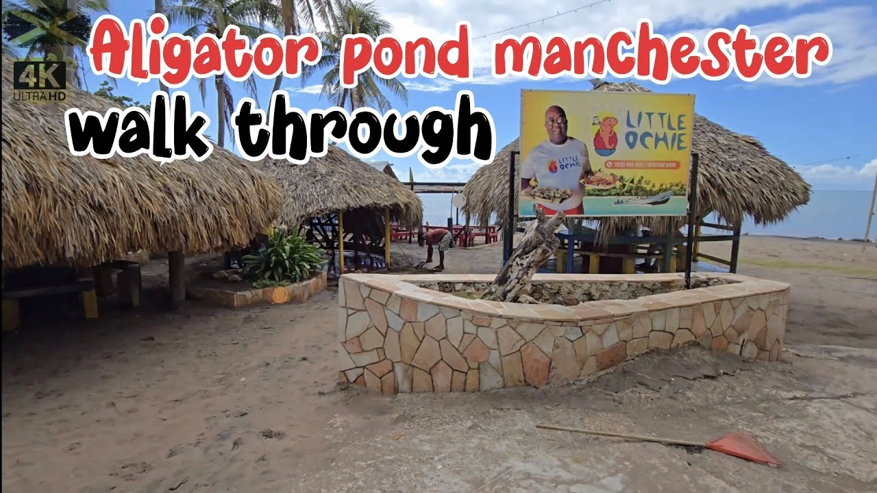 Aligator pond manchester , the forgotten town, plus little  ochie re-opens #restaurant #jamaicalife