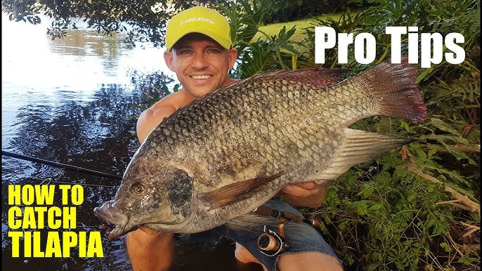 Where to Fish for Tilapia: Pro Tips for Top Fishing Spots