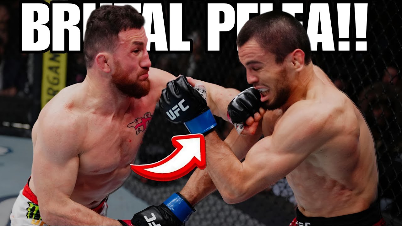 BRUTAL!! MEREAB DVALISHVILI VS UMAR NURMAGOMEDOV UFC 311 - YouTube