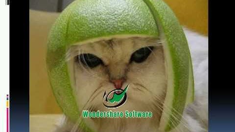 Misconceptions About Communication