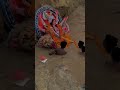 Mata ji ki vidai#shorts#shortsvideo#viralvideos#viral#durgamaa#durgapuja