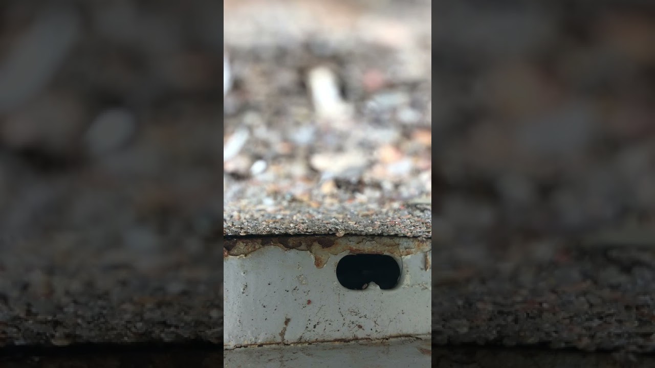 Sedgwick County Kansas Attack Siren Test 5/23/22