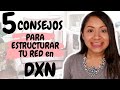 5 recomendaciones para construir tu RED en DXN