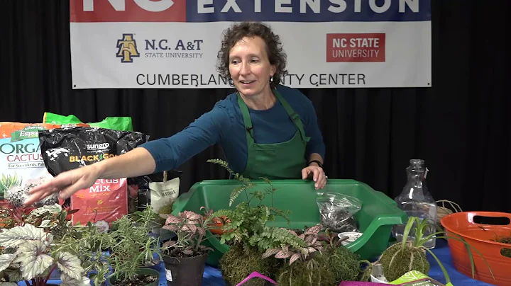 Better Living Series: Art of Kokedama