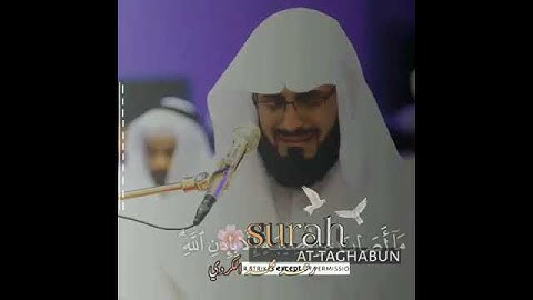 رعد الكردي |القارئ | رعد الكردي ||، مااصاب| من مصيبه| ألا بأذن الله|،