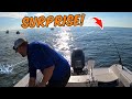Couldn't come home without these Fish, Jetty Fishing was on Fire!