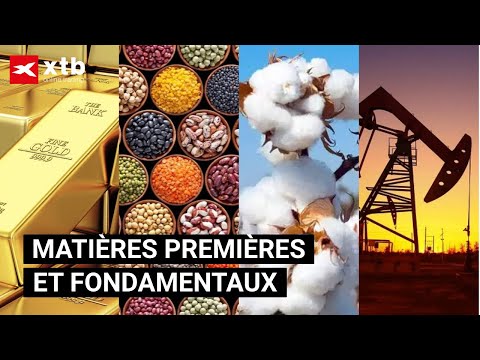 Matières premières et fondamentaux