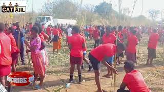Imbali Preparing The Reed