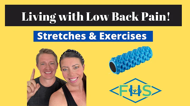 Low Back Pain Stretches and Exercises!  Full Video...