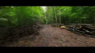 DJI AVATA - WOODSMAN