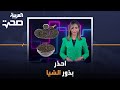 احذر تناول بذور الشيا بهذه الطريقة كي لا تتحول فائدتها لضرر