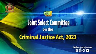 Joint Select Committee on the Criminal Justice Act, 2023 - May 17, 2023