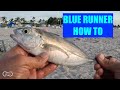 How to catch tons of blue runners on the beach