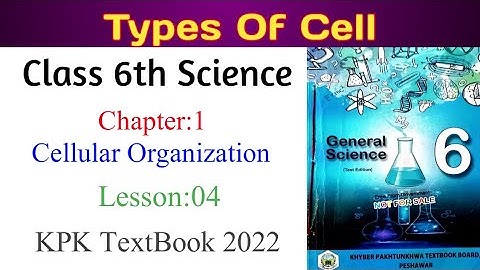 Class 6th Science chapter 1|Celluar Organization| Types of  Cell in Pashto|KPK#class6 #science