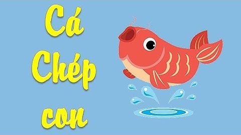 Cá Chép con - Mỗi ngày một câu chuyện