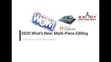 2020 PolyWorks - What