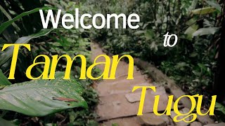 Discover Taman Tugu (City Forest in Kuala Lumpur) 🌳🌿