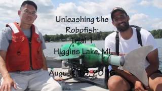 Gliding robotic fish GRACE 2.0 hitting Higgins Lake (Underwater View!)