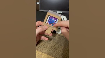 The Game Boy / Nintendo Switch Adapter