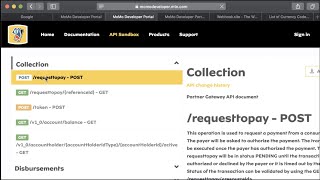 MTN MoMo API- Part 4: RequestToPay API (Collection)