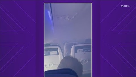 Smoke fills cabin of Southwest Airlines plane after bird hits engine