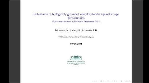Robustness of biologically grounded neural networks against image perturbations