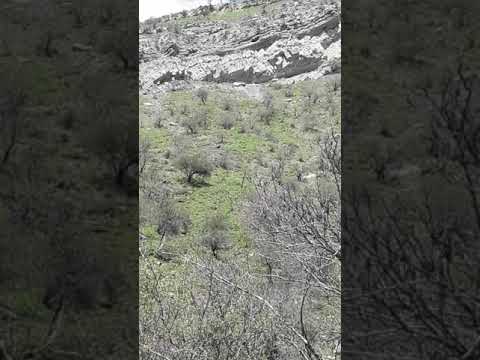 куххои н Хуросон
