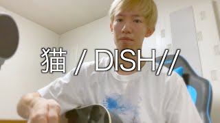 猫 / DISH//を独特に歌い上げる少年