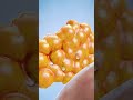 لماذا تخرج الدموع عندما تبكي