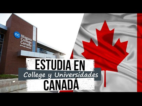 ¿Qué Es Una Universidad Profesional En Canadá?