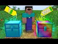 BUY RAINBOW CHEST FOR $ 1000 VS DIAMOND CHEST FOR $ 1 TO GET BETTER IN MINECRAFT 100% TRAP TROLLING!