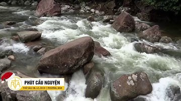 Phút Cầu Nguyện, Thứ Sáu 06/12/2019: Tôi Và Chúng Ta