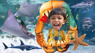 ปลากระเบนยิ้ม ปลาโรนัน อุโมงค์ปลาฉลาม Sea Life Bangkok EP2 | พี่ปลื้ม