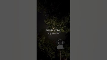 #اكسبلور #تلاوة_خاشعة #راحة_نفسية #المصحف #قناتي #لايك