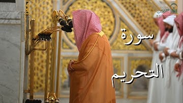 سورة التحريم | المصحف الصوتي والمرئي من صلاتي التراويح والتهجد بالمسجد النبوي لعام 1446هـ.