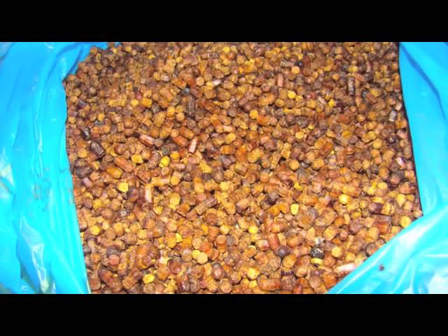 Перга Как Принимать