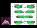 Mechanisms that Increase Genetic Variation