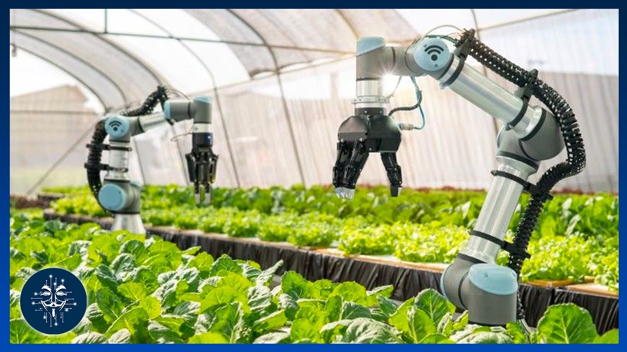 Ии в сельском хозяйстве. Робототехника в сельском хозяйстве. Промышленность и сельское хозяйство ИИ. Роботы для сбора урожая. Искусственный интеллект в сельском хозяйстве.