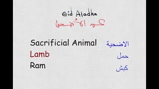 مفردات عيد الأضحى باللغة الانجليزية ENGLISH VOCABULARY Eid Al adha